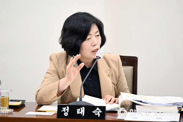 정태숙 의원 (사진 : 부산시의회)